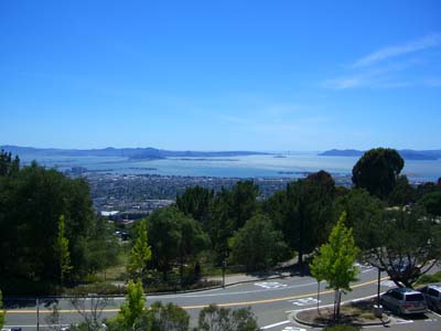 View of SF Bay from Berkeley Hills