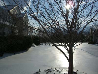 Icy morning at 27 Dimisa Drive