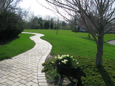 Walkway in the spring