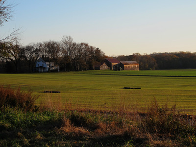 Sod farm in Holmdel